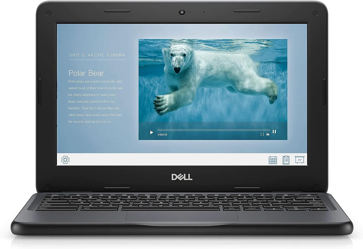 Dell Chromebook 11 3100 11.6" Chromebook - 1366 x 768 - Celeron N4020-4 GB RAM - 16 GB Flash Memory - Chrome OS - Intel HD Graphics - English (US) Keyboard - Bluetooth